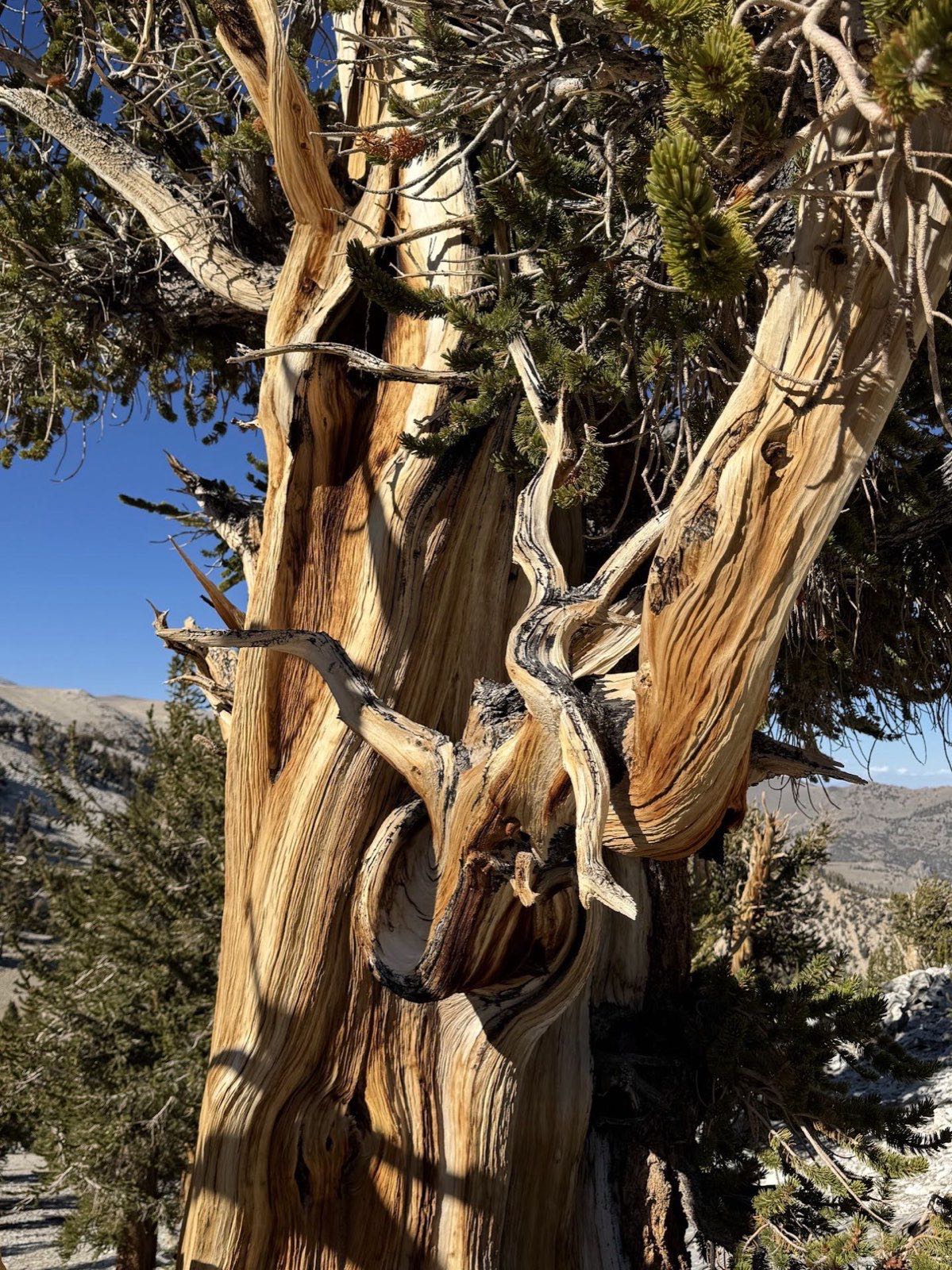 Trip image 1