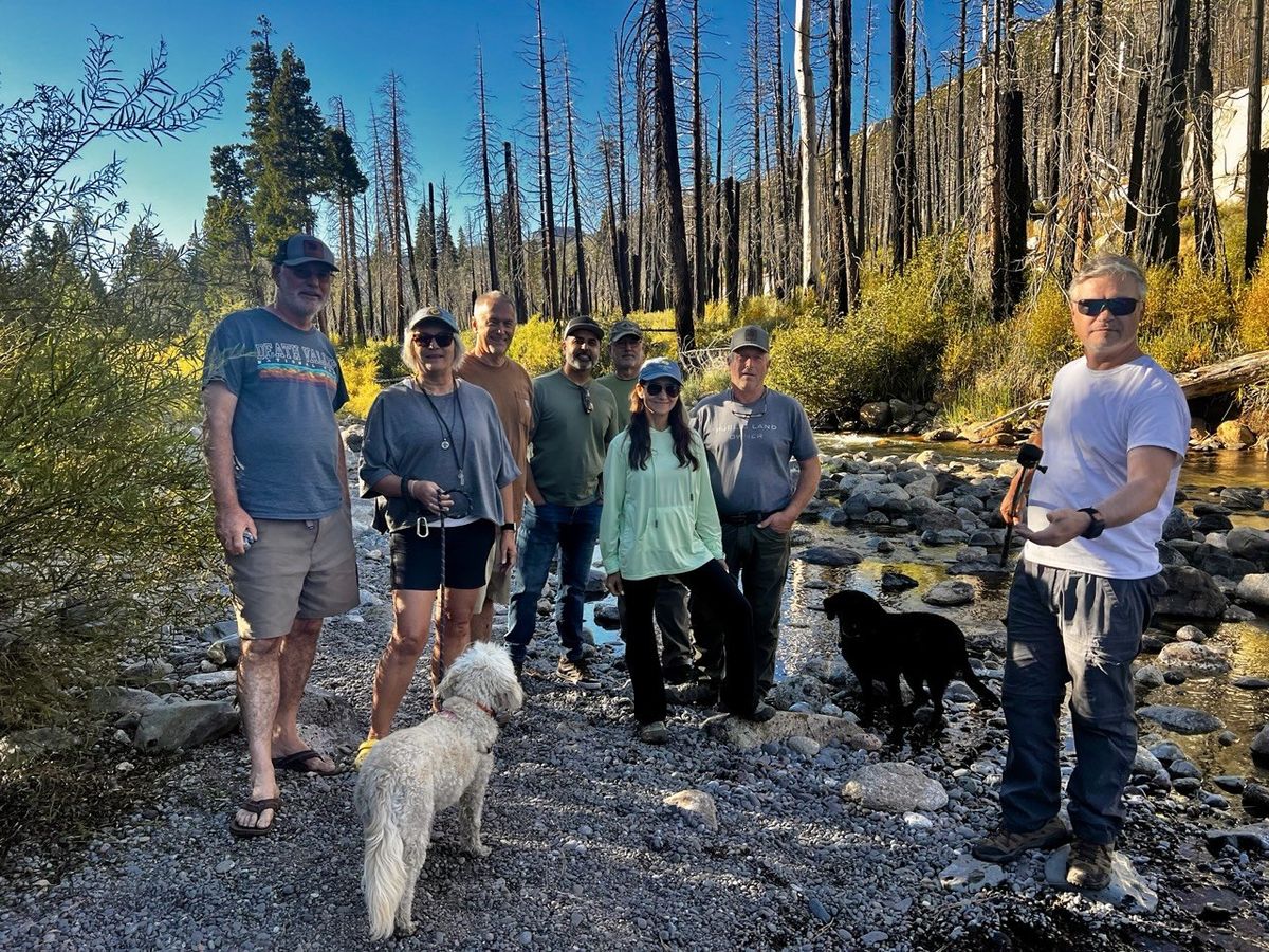 Group of 8 hikers and 2 dogs exploring the rocky stream bed
