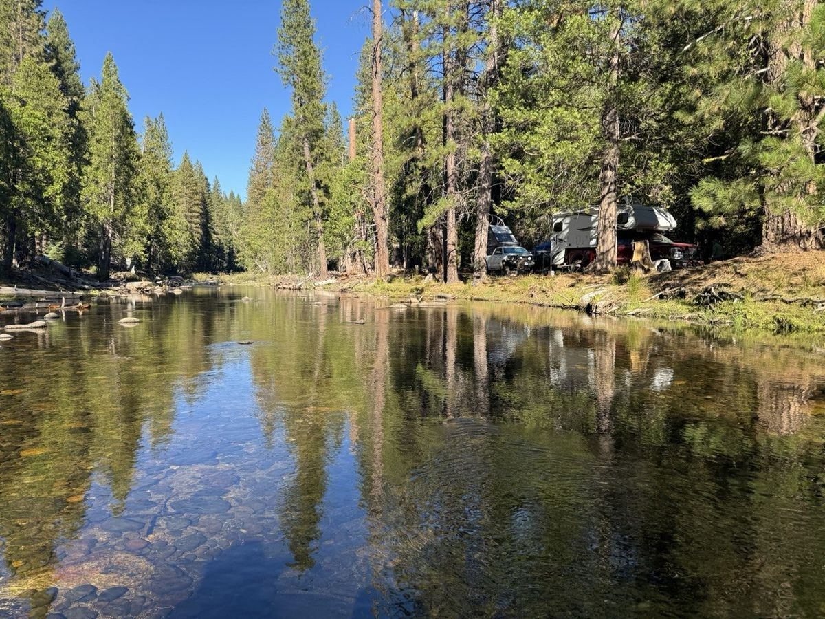 Clear river mirroring pines, truck with camper on right bank