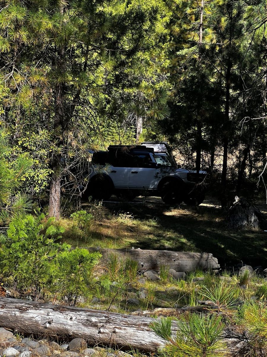 White off-road SUV with cargo carrier driving a shaded forest trail