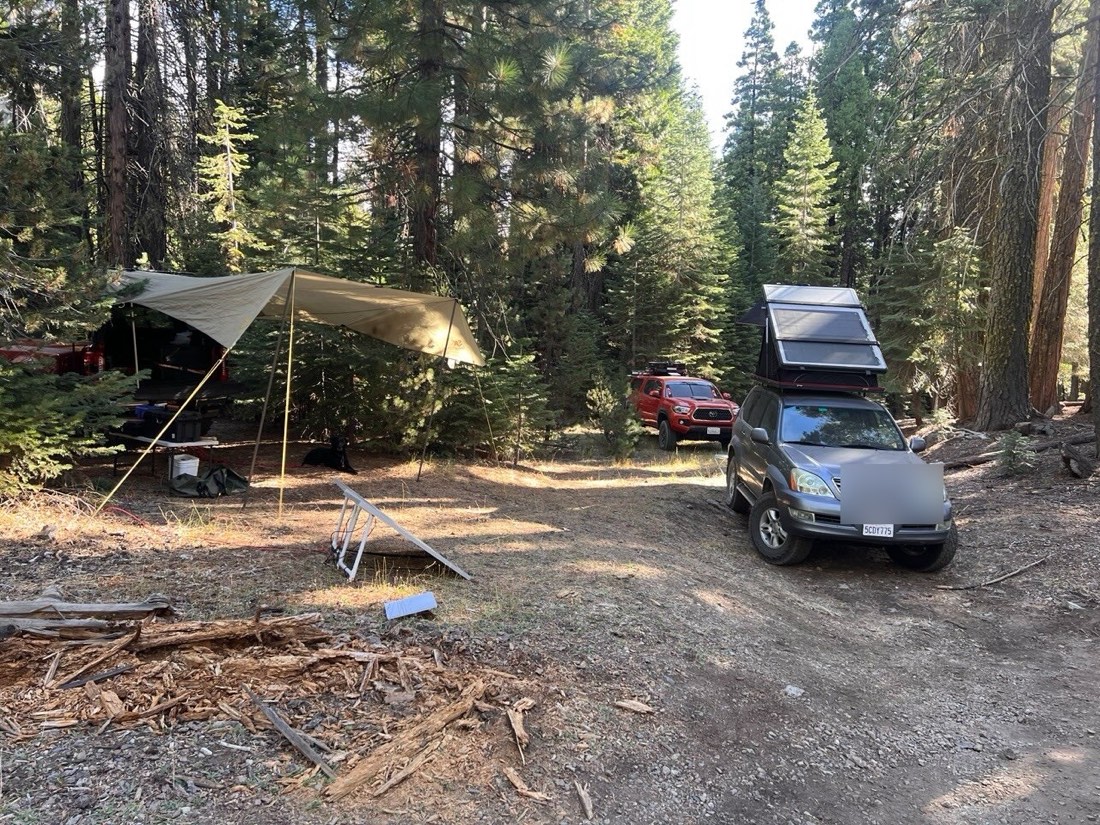 Two overland rigs at a dispersed pine-forest camp in Tahoe National Forest — a Lexus GX470 with a rooftop tent and a Toyota Tacoma, with a tarp shelter, camp table, and a portable solar panel
