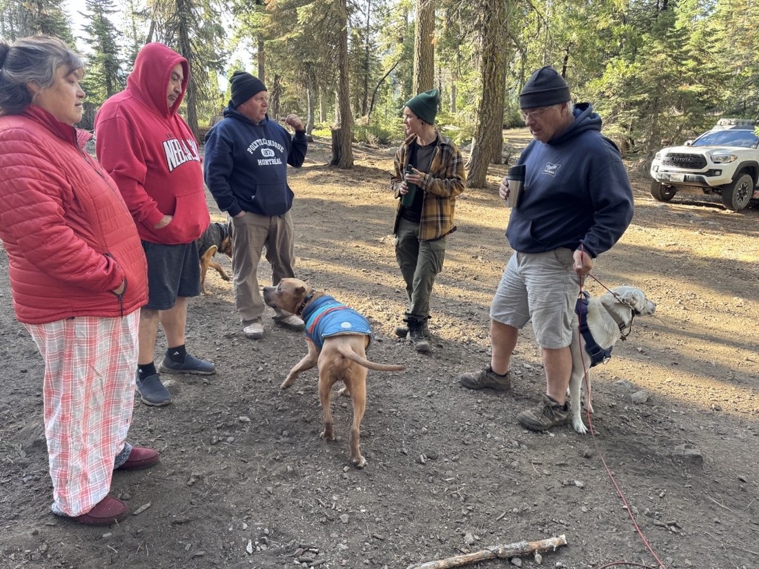 Five East Bay Overland members and their dogs, including Eddy and Seven, gathered in a circle at a dispersed forest campsite in Tahoe National Forest