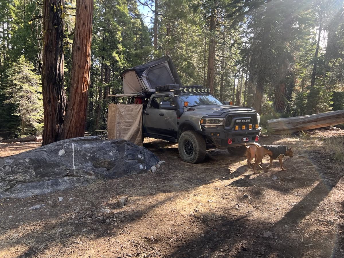 A grey Ram heavy-duty truck with a rooftop tent and deployed side awning at a dispersed pine-forest campsite in Tahoe National Forest, with two dogs nearby.