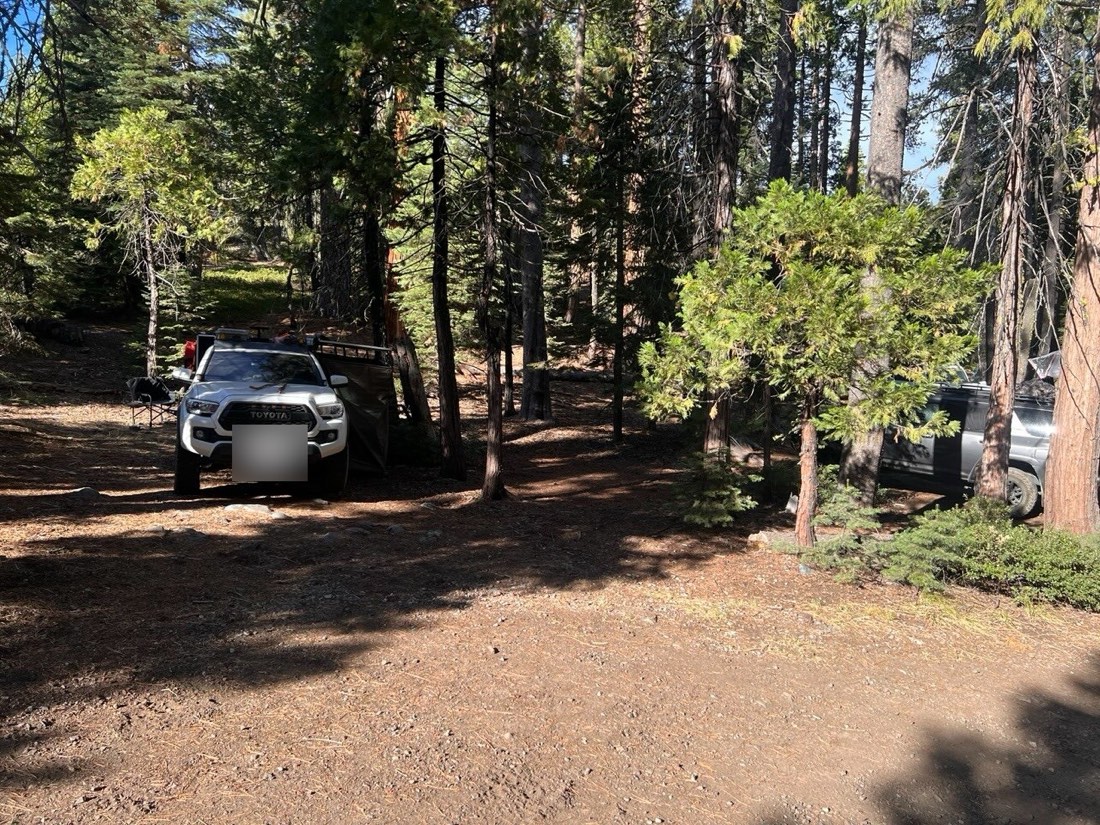 A white Toyota Tacoma with a bed rack and rooftop tent parked beside a dark SUV at a wooded dispersed campsite in Tahoe National Forest