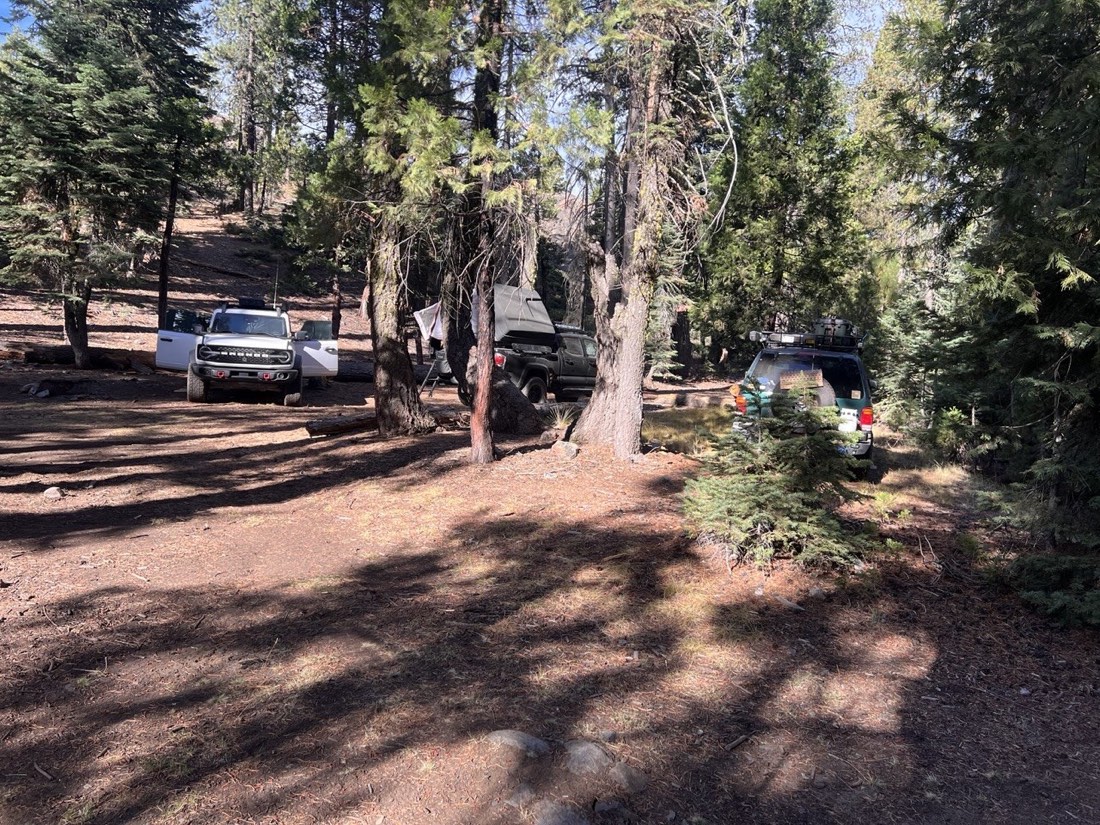 Three overland rigs parked at a dispersed pine-forest campsite in Tahoe National Forest — a white Ford Bronco, a Jeep with a deployed rooftop tent, and a Land Cruiser with a loaded roof rack