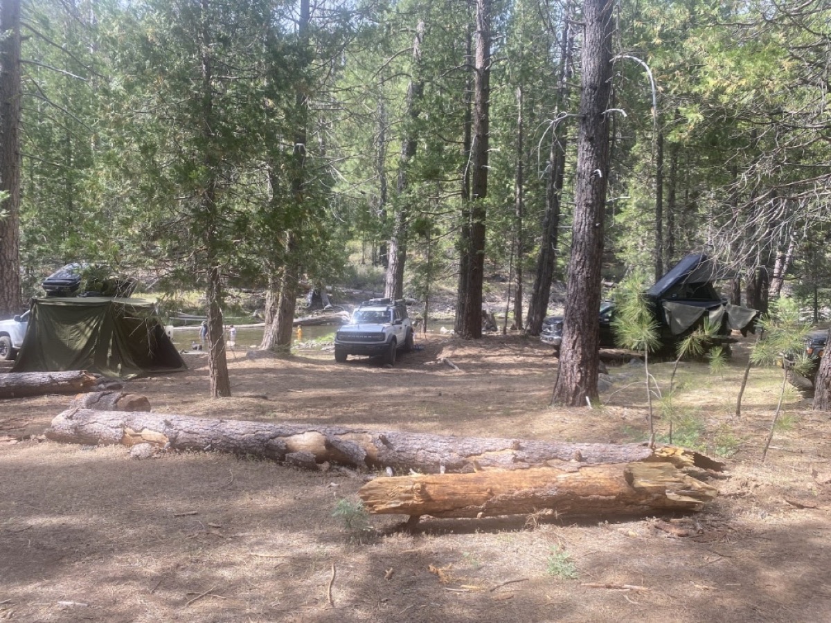 Shaded forest camp setup at Frazer Flat basecamp along the river